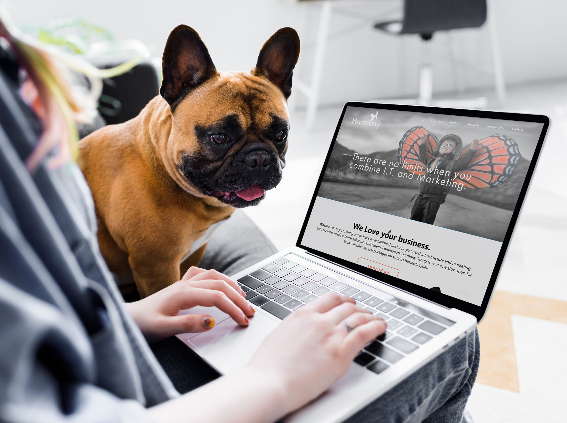 Person at home with their pug watching them work